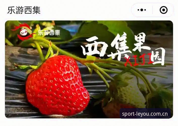 乐游体育官网2024新版下载完整指南：从安装到注册的全面解析